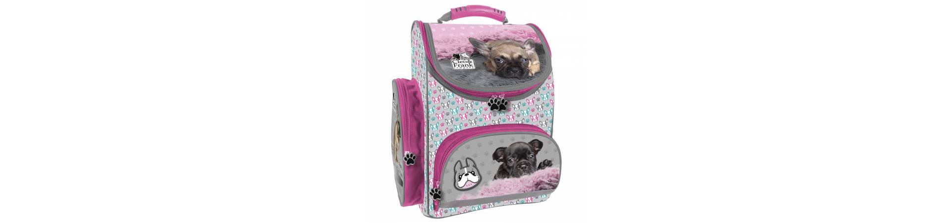 Dog school equipments
