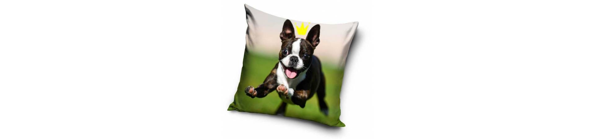 Pillow