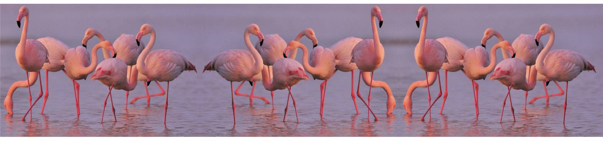 Flamingó mintás termékek